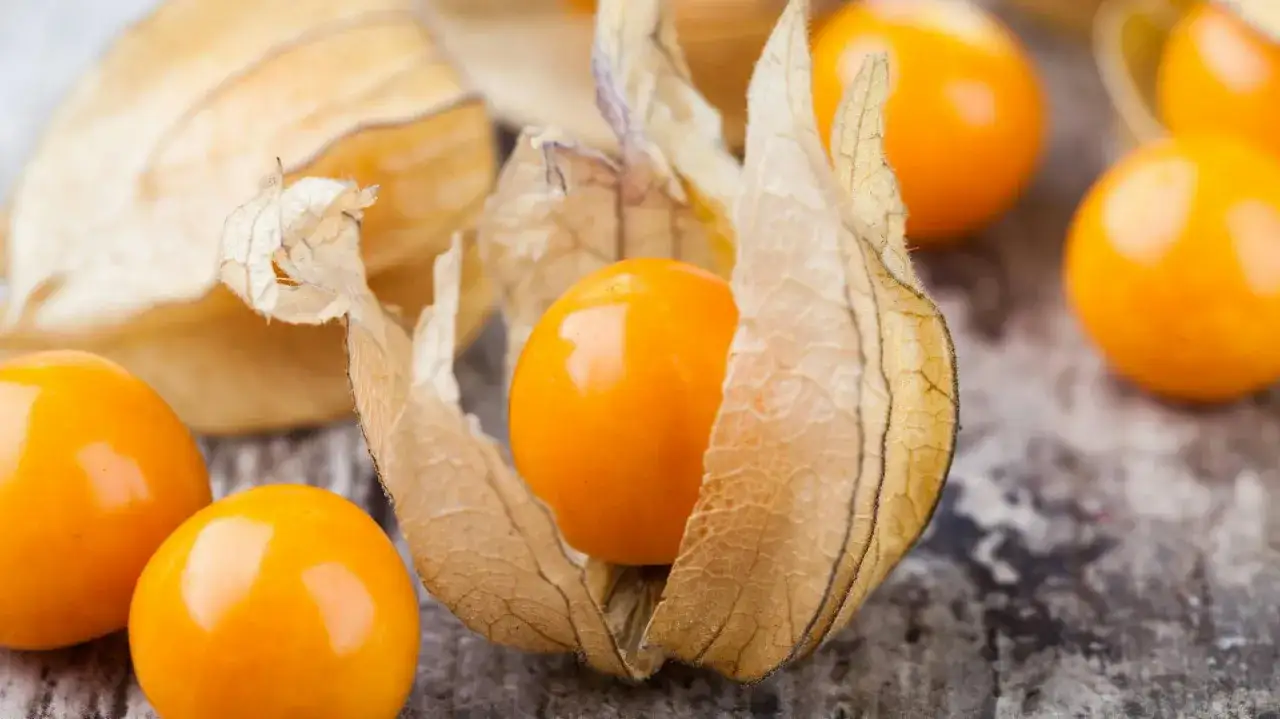 Kilka pomarańczowych, błyszczących owoców physalis w papierowych łupinkach, ułożonych na szarym, kamiennym tle.