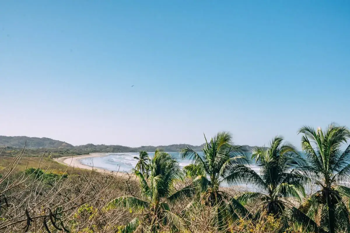 Traumhafter Blick auf die Küste von Santa Teresa mit Palmen im Vordergrund und sanften Wellen am Strand.
