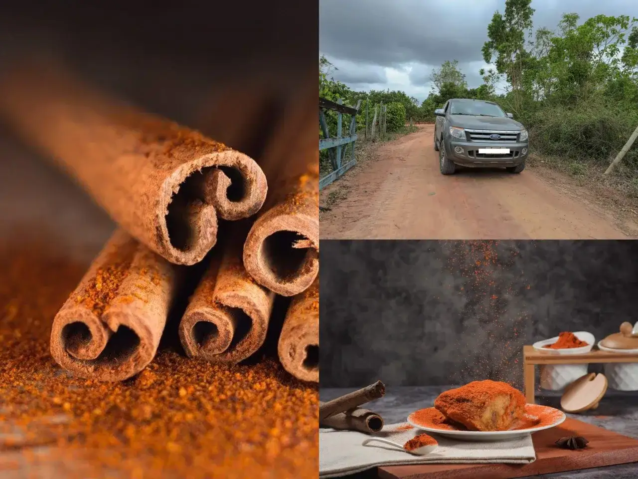 Bâtonnets de cannelle et poudre, un véhicule sur une route de terre, et un plat de poulet épicé. Par quoi remplacer la cannelle ?