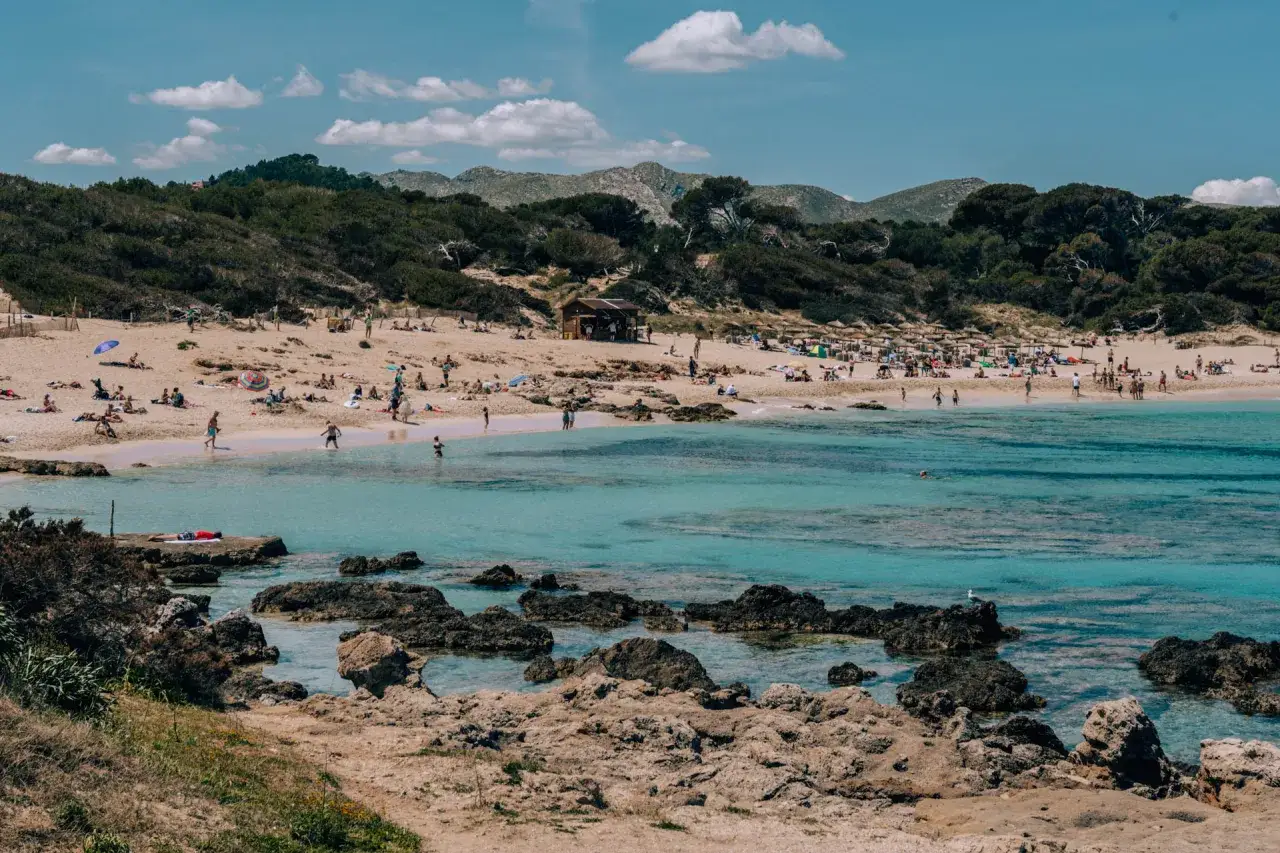 Słoneczny dzień na plaży Caló des Moro. Tłumy ludzi odpoczywają na piasku i kąpią się w turkusowej wodzie.