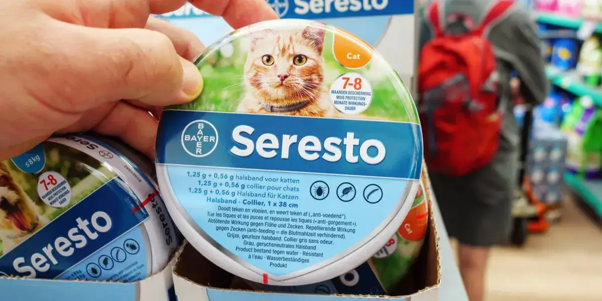 Zdjęcie Czy obroża Foresto uczula? Sprawdź objawy i jak reagować