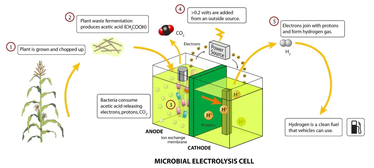 Diagrama de un generador de biomasa que convierte residuos vegetales en hidrógeno, un combustible limpio.