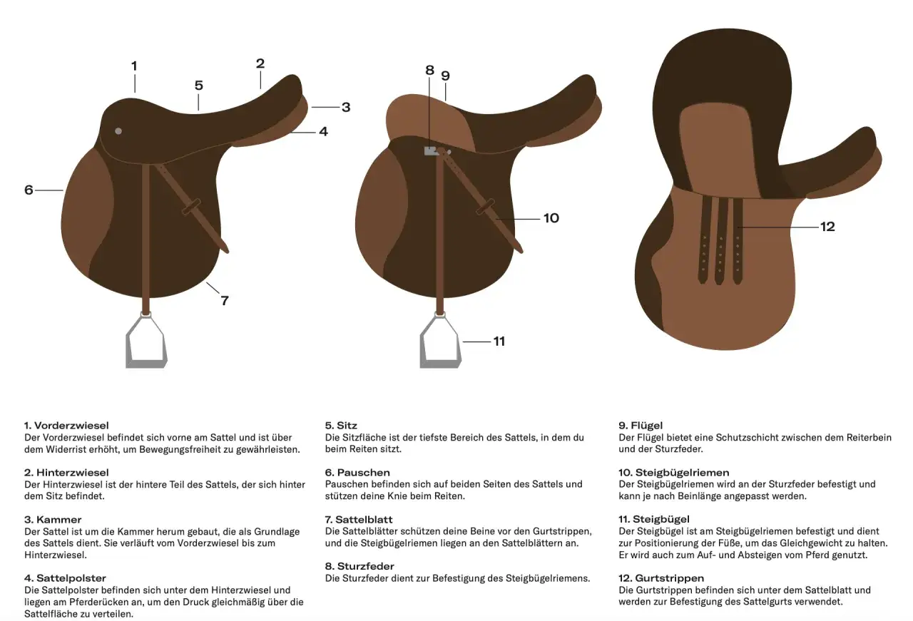 Illustration zeigt den Aufbau eines Sattels mit nummerierten Teilen. Der Sattel ist f&uuml;r das Reiten auf einem Pferd konzipiert.
