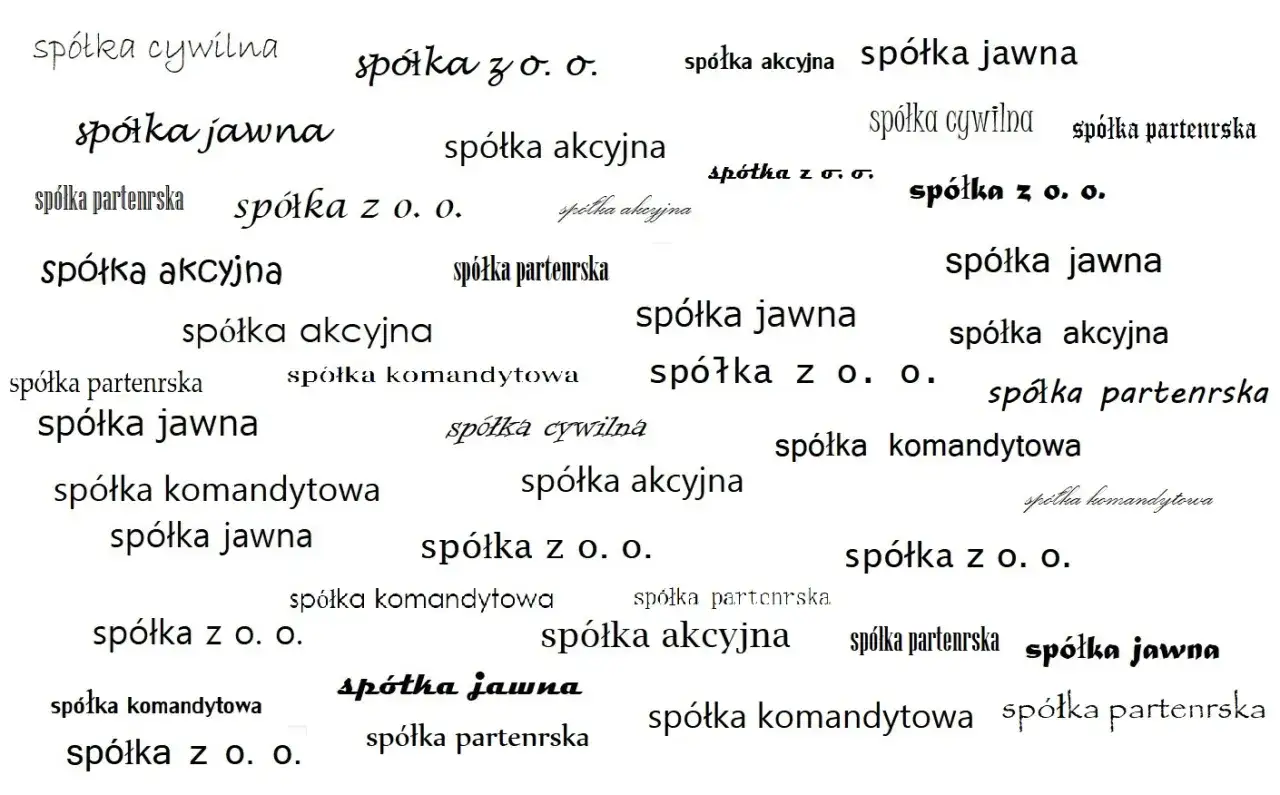 Różne rodzaje spółek: spółka jawna, akcyjna, z o.o., komandytowa, cywilna, partnerska.