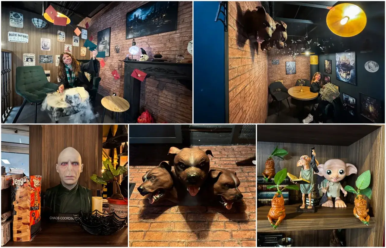 Magiczne zakątki muzeum Harry Potter w Krakowie: Fluffy, mandragory i Voldemort.