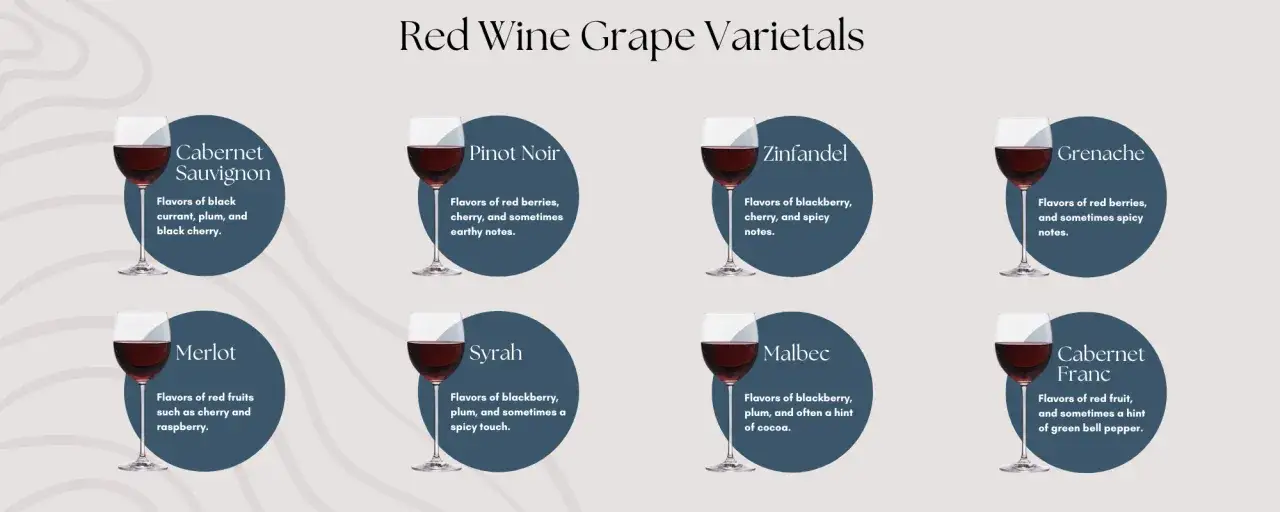 Définition cépage : illustration de vins rouges (Cabernet Sauvignon, Pinot Noir, Zinfandel, Grenache, Merlot, Syrah, Malbec, Cabernet Franc) et leurs arômes.