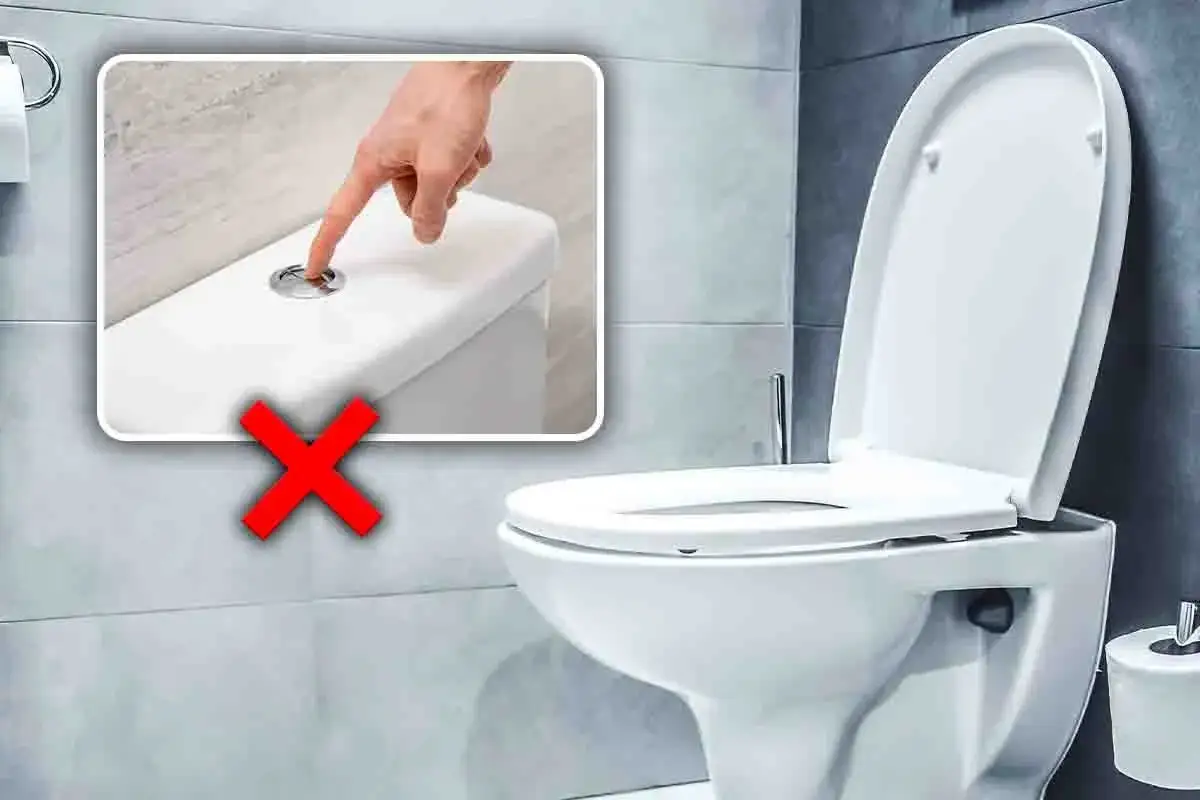 Mano che preme il pulsante dello sciacquone su un water, con una croce rossa. Problema di scarico nel bagno.