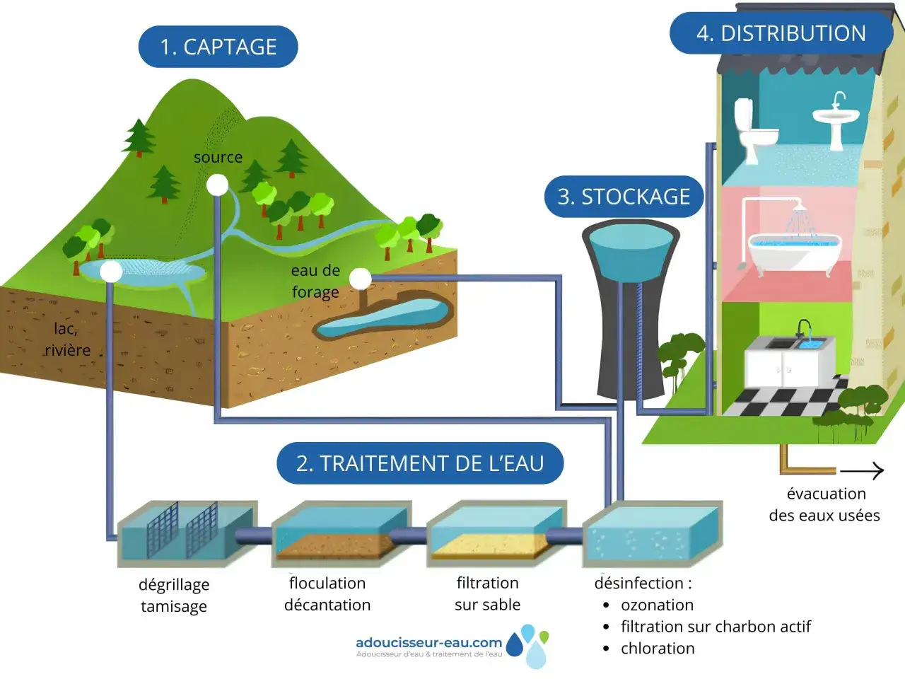 Schéma du cycle de l'eau : captage, traitement (dégrillage, floculation, filtration, désinfection), stockage et distribution pour la composition eau du robinet.