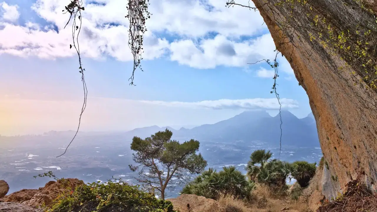 Vista desde el Forat de Bernia, con vegetación colgante y un paisaje montañoso al fondo.
