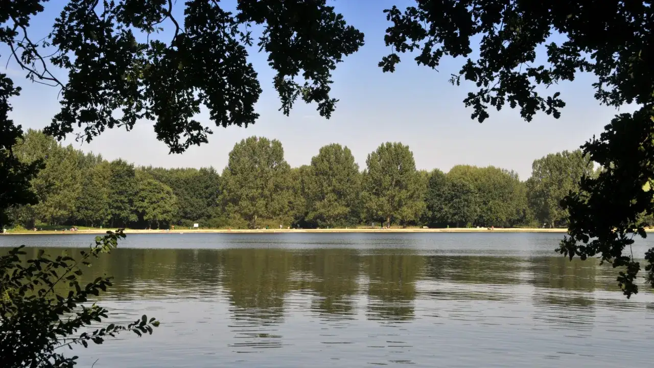 Idyllische Seeansicht mit Bäumen und einem Strand, ein friedlicher Ort zum Entspannen in Hannover.