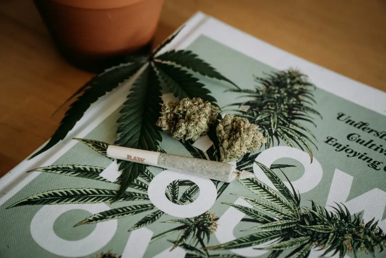 Wykrycie THC w organizmie polskie prawo