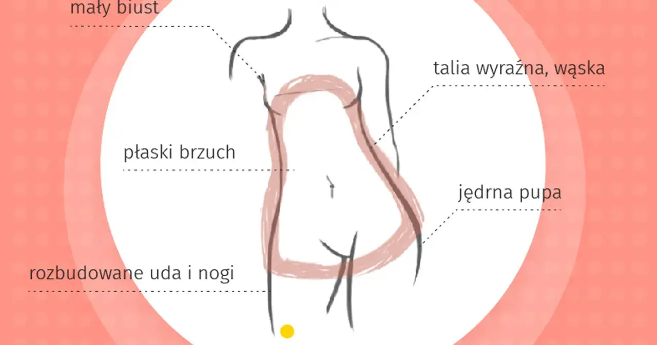 Typy sylwetek kobiecych infografika