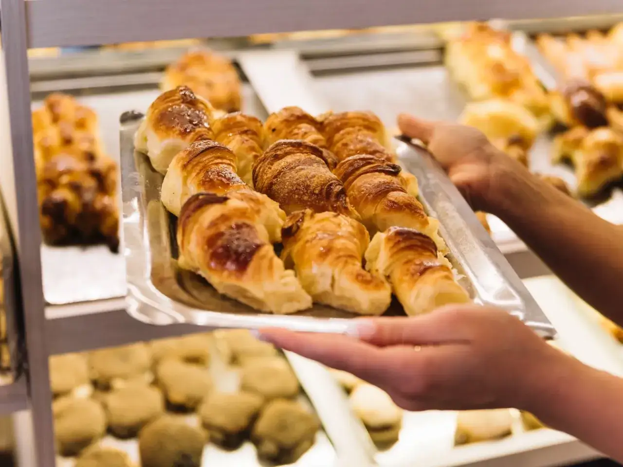 Taca z pieczonymi croissantami, trzymana przez ręce.