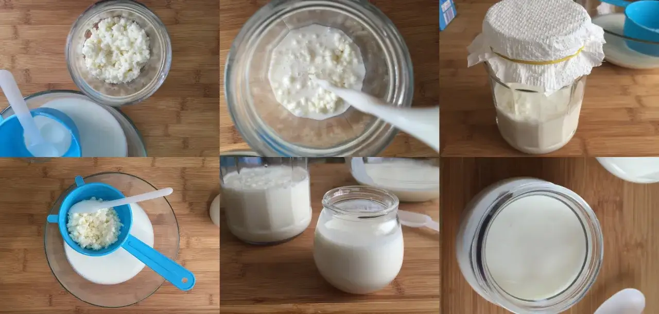 Preparazione del latte di kefir: chicchi in un barattolo, aggiunta di latte, filtraggio e prodotto finito in vasetti.
