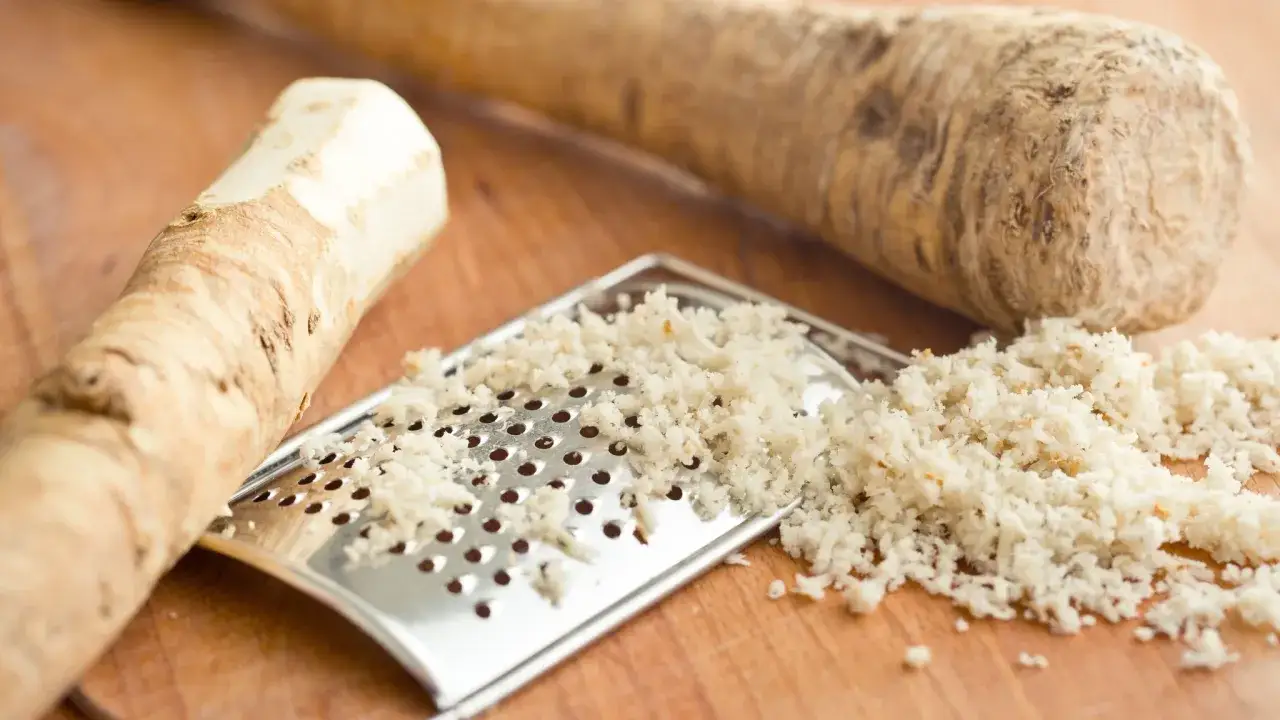 Frisch geriebener Meerrettich liegt auf einem Metallreibe. Ist Meerrettich gesund? Ja, er ist bekannt für seine gesundheitlichen Vorteile.