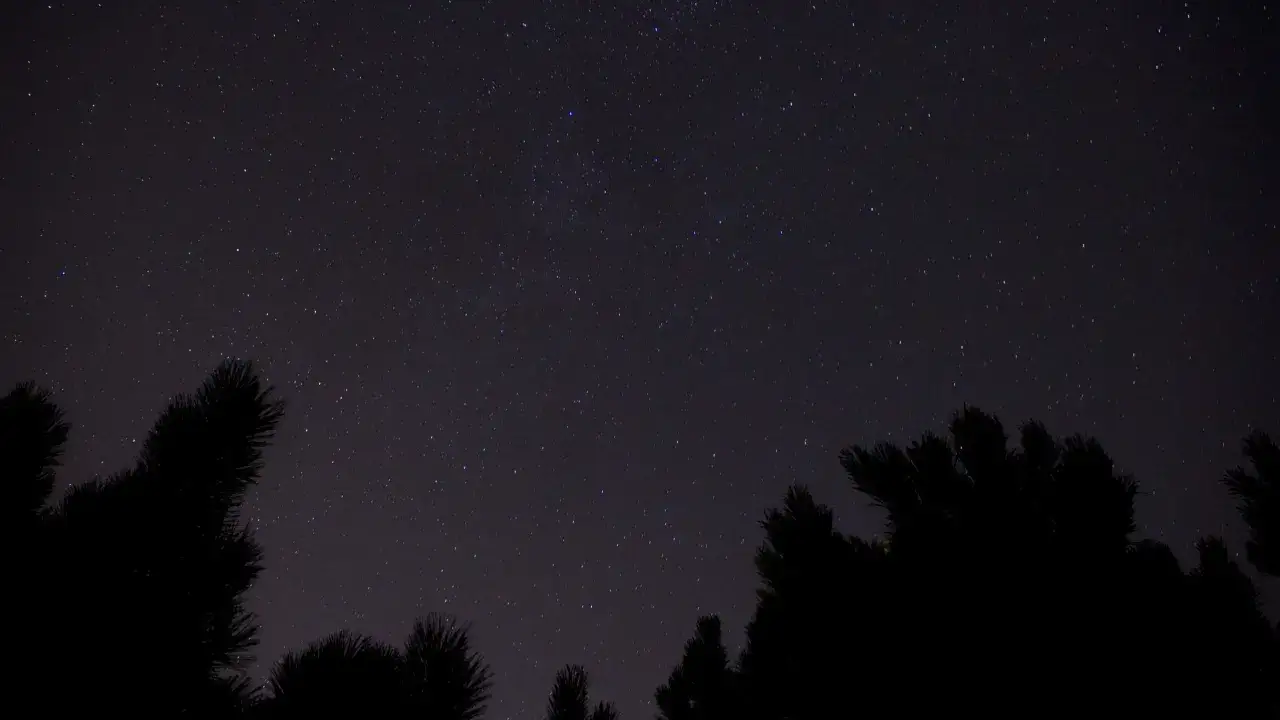 Nocne niebo pełne gwiazd, z widocznym pasem Oriona. Tajemnica kosmosu ukryta w mroku, otoczona sylwetkami drzew.