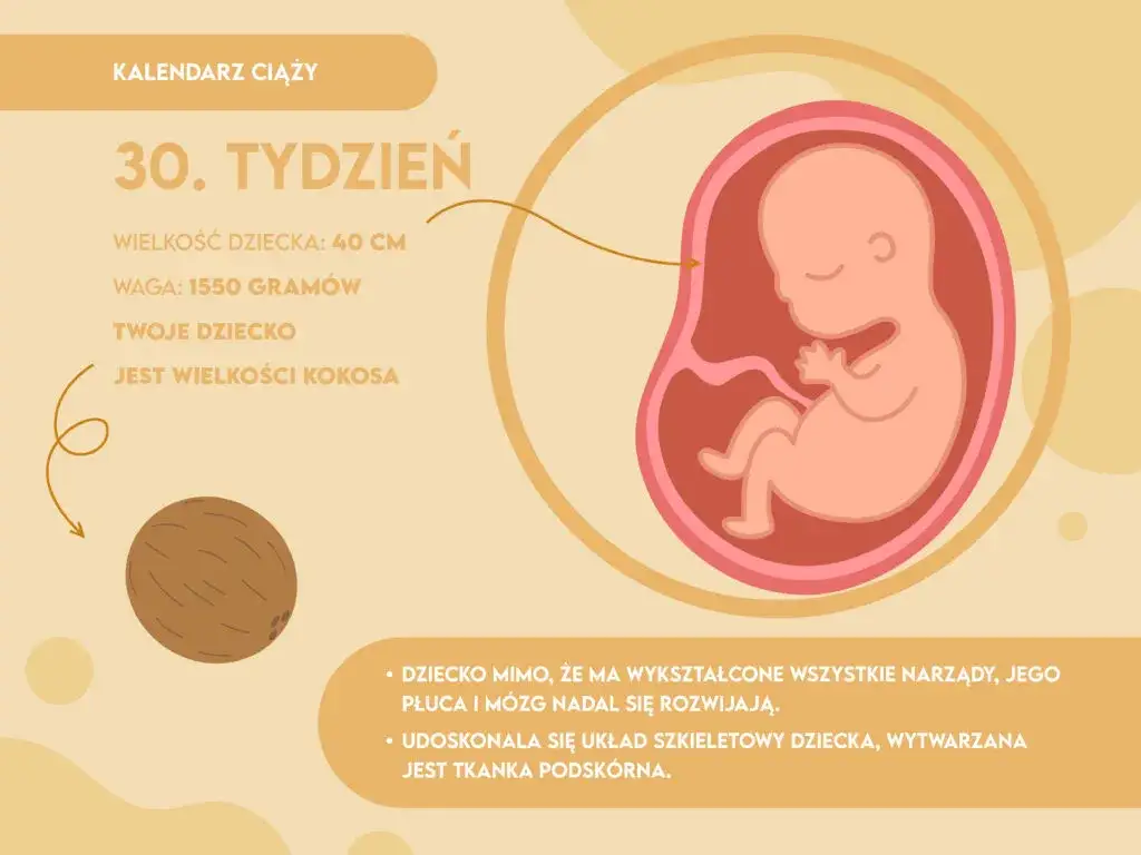 Rozwój płodu 30 tydzień ciąży wizualizacja