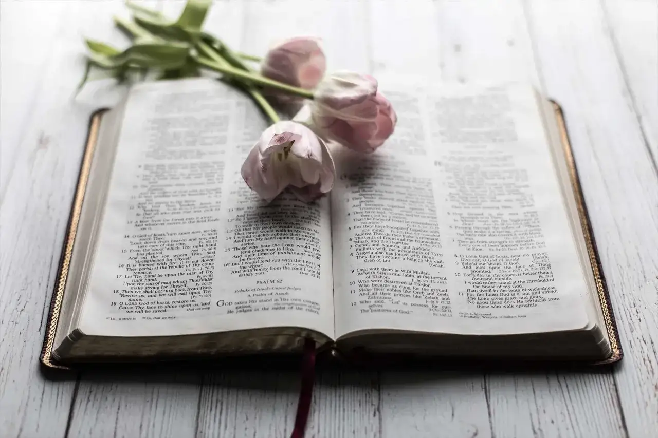 Open Bible with pink tulips, hinting at psalms of lament and the beauty of scripture.