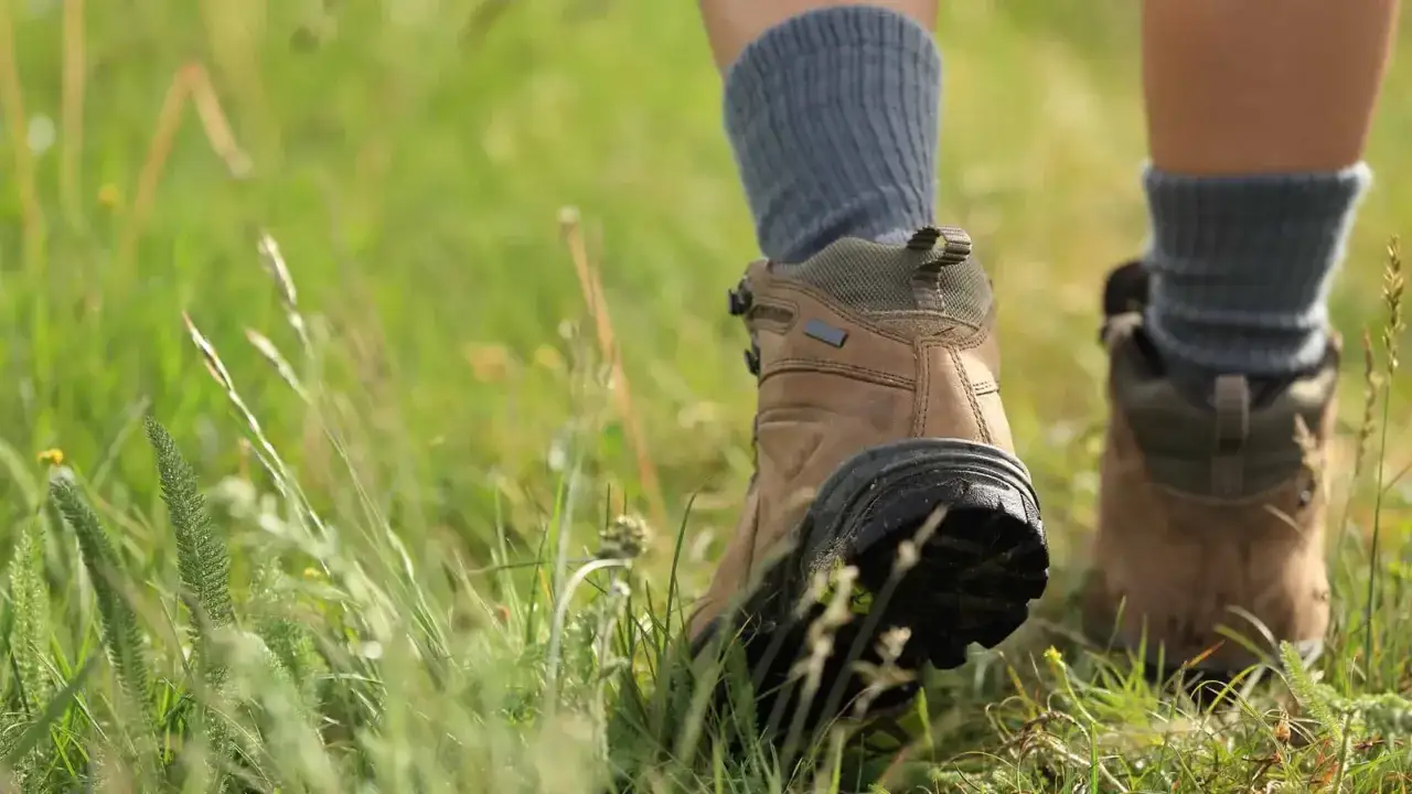 Wanderstiefel mit grauen Socken, die durch hohes Gras treten. Die richtige Wahl für welche Socken zum Wandern.