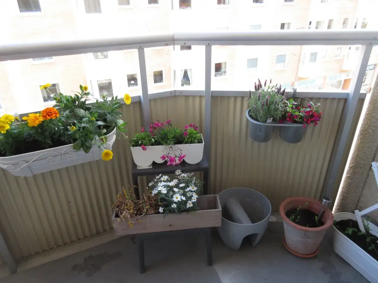 En balkong med blommor i krukor, inklusive en vacker lavendel i kruka som doftar gott.