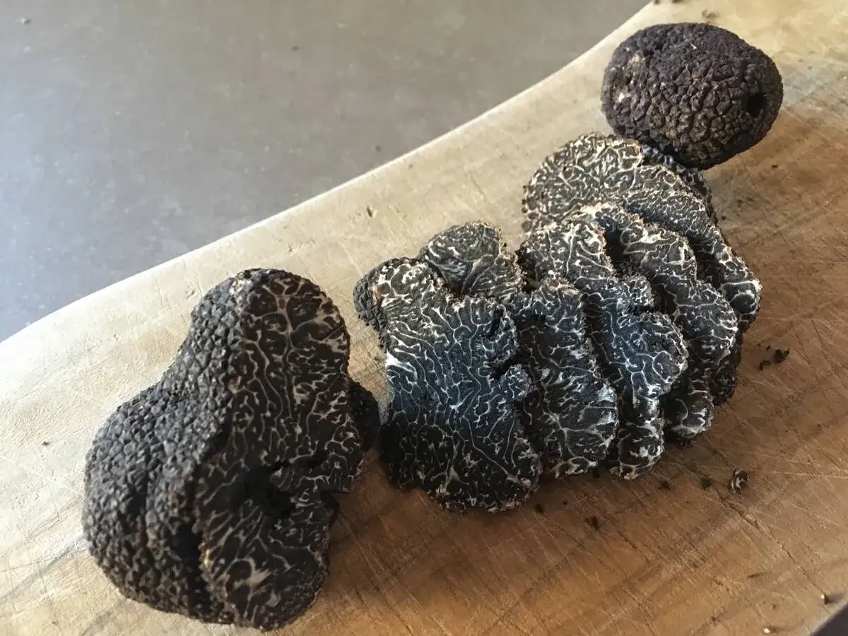 Truffes noires, une spécialité du Luberon, posées sur une planche en bois. Leur texture rugueuse et leurs marbrures blanches sont mises en valeur.