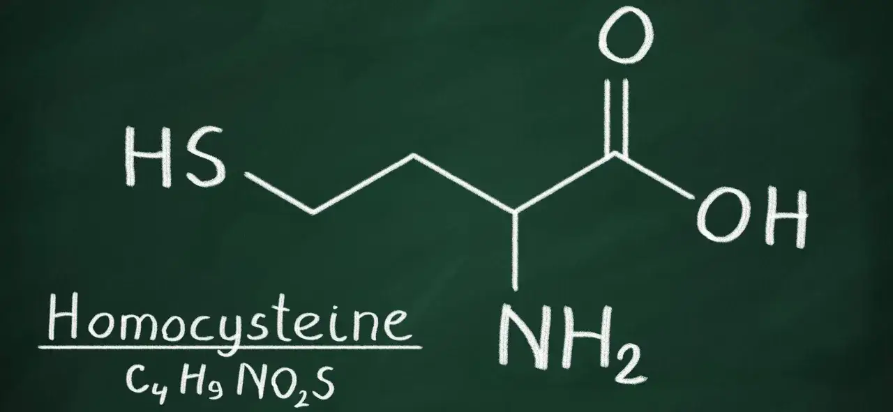 Homocysteina - budowa chemiczna i metabolizm