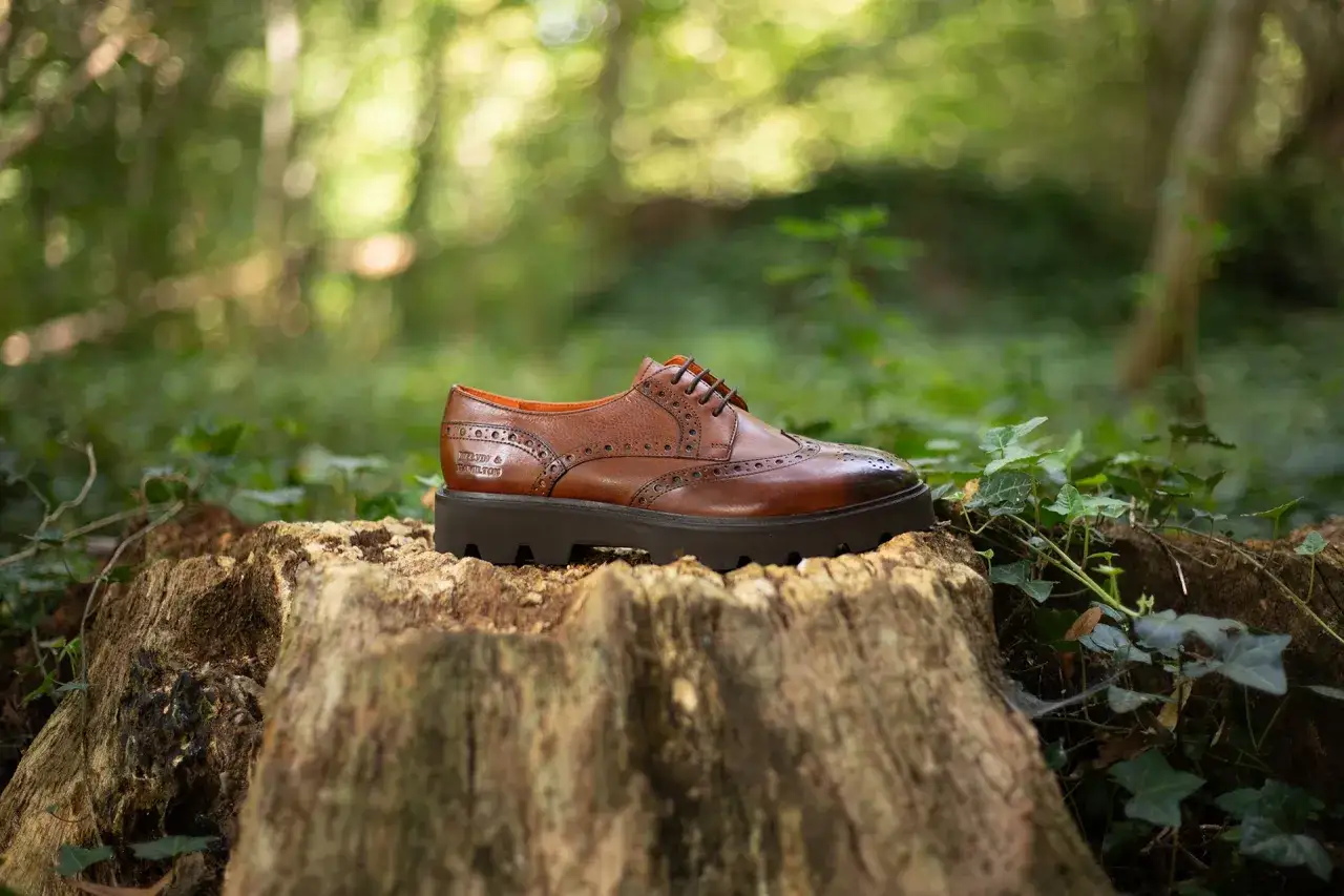 Scarpe grosse donna in cuoio marrone, con dettagli traforati, su un ceppo d'albero in un bosco.