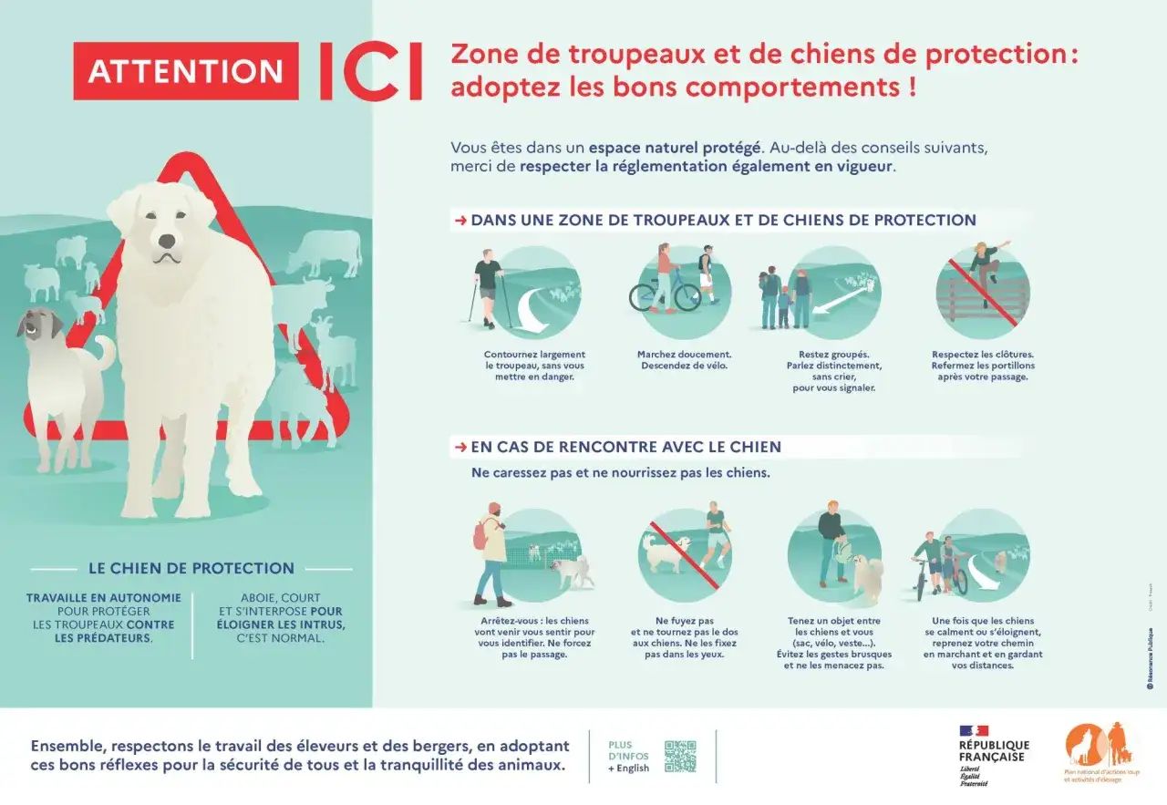Attention ! Zone de troupeaux et de chiens de protection dans le Parc de la Vanoise. Adoptez les bons comportements pour la sécurité de tous.