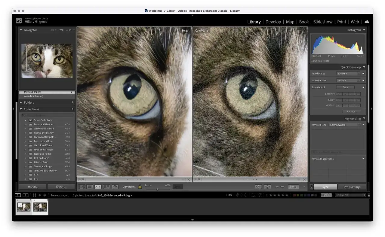 Comparaison côte à côte dans Lightroom Classic d'une photo de chat, montrant les réglages de développement et les mots-clés.