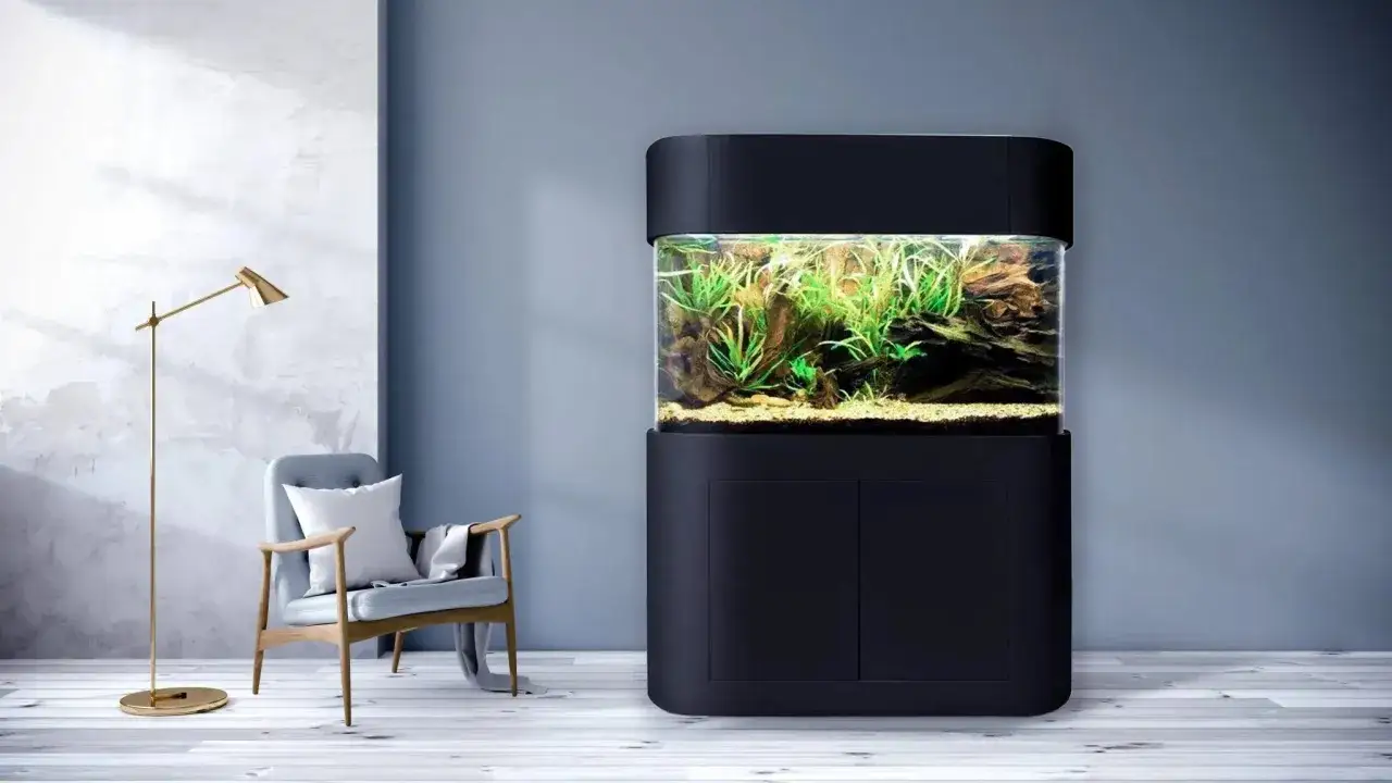 Un élégant **bassin vitré** moderne, rempli de plantes aquatiques luxuriantes, trône dans un salon minimaliste, à côté d'un fauteuil confortable et d'une lampe dorée.
