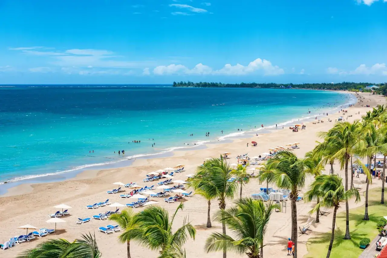 Piękna plaża z palmami i turkusową wodą, gdzie leży Puerto Rico. Ludzie odpoczywają na leżakach i kąpią się w oceanie.