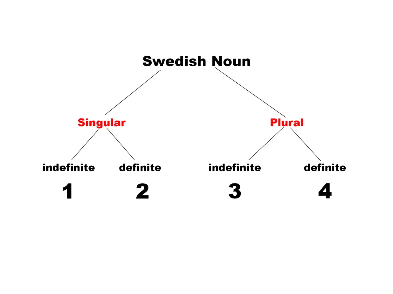 Diagram över svenska substantiv: singular (obestämd/bestämd) och plural (obestämd/bestämd).
