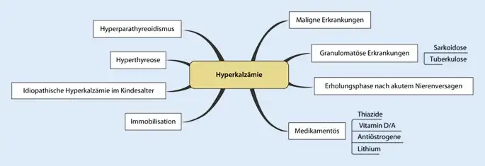 Hyperkalz&auml;mie Nieren