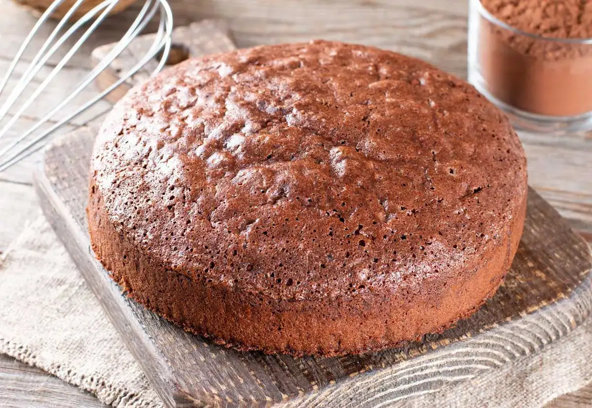Bizcocho de chocolate recién horneado, esponjoso y con un aroma irresistible. ¡Parece el mejor bizcocho de chocolate del mundo!