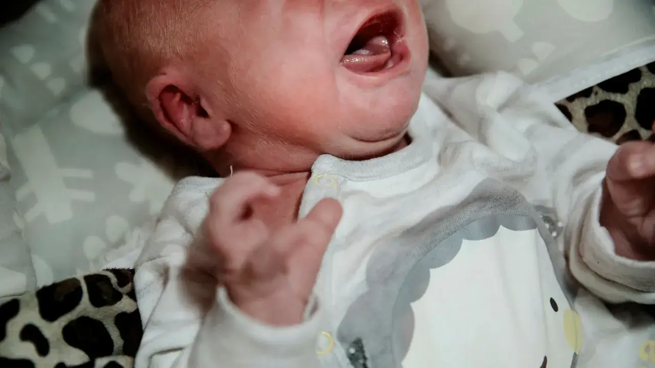 Nyf&ouml;dd bebis med &ouml;ppen mun, gr&aring;ter intensivt. En **high need baby** som beh&ouml;ver mycket n&auml;rhet och tr&ouml;st.