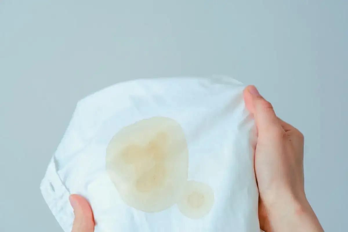 Mains tenant un tissu blanc avec une tache de gras. Une solution pour enlever tache de gras est n&eacute;cessaire.