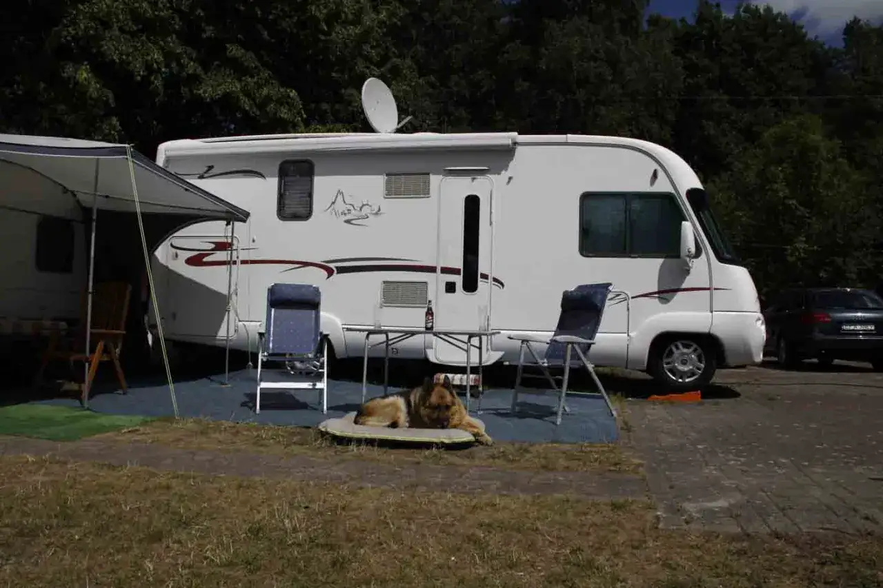 Kamper nad morzem, piesek odpoczywa. Zastanawiasz się, ile kosztuje postawienie przyczepy kempingowej nad morzem?