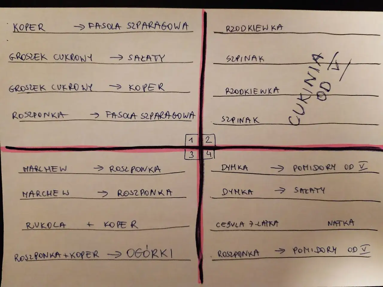 Plan ogródka warzywnego dla początkujących: koper, fasola szparagowa, rzodkiewka, groszek, sałaty, szpinak, marchew, pomidory.
