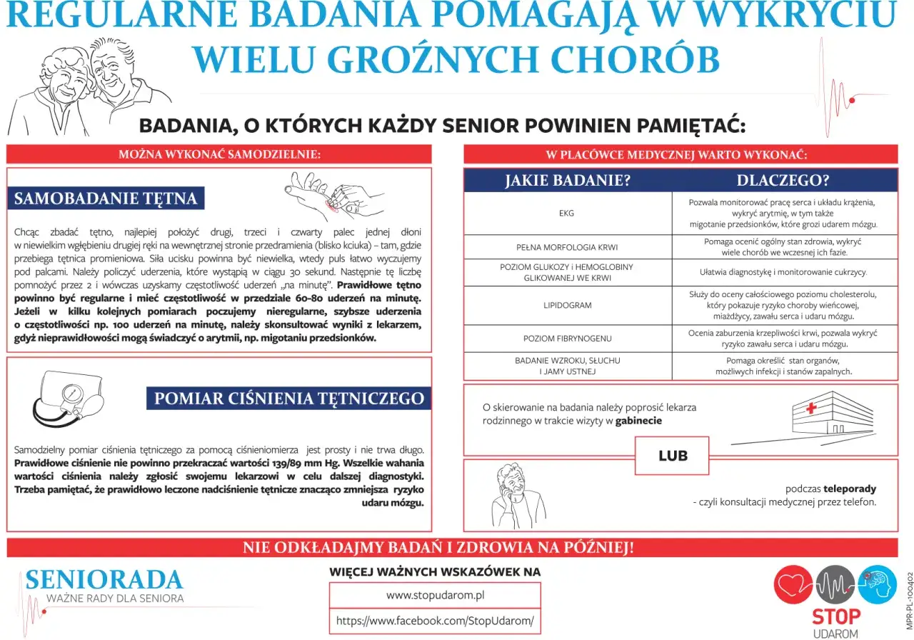 Profilaktyka udaru mózgu infografika