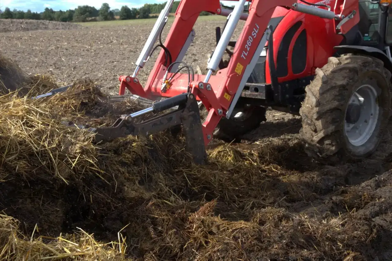 Czerwony traktor z ładowaczem pracuje na polu, rozrzucając obornik. Pryzma nawozu jest rozbijana przez metalowe zęby ładowacza.