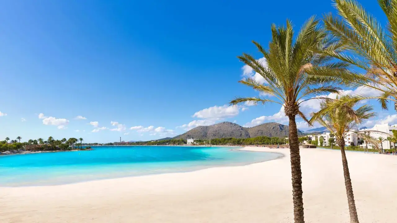Traumhafter Strand mit Palmen und t&uuml;rkisblauem Wasser. Perfekt f&uuml;r die mallorca beste reisezeit.