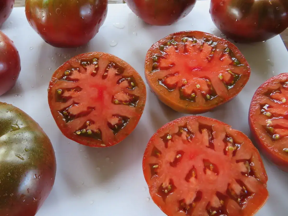 Tomates noires de Crimée coupées en deux, révélant leur chair juteuse et leurs graines. Des tomates entières, certaines d'un vert foncé, sont disposées autour.