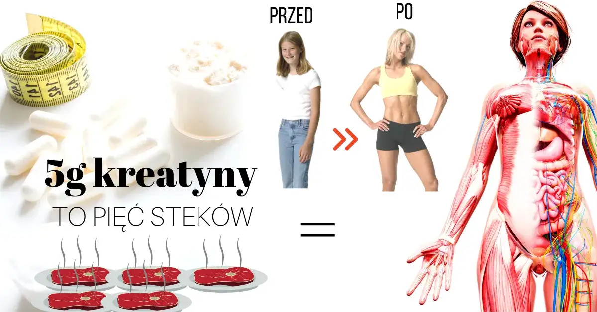 kreatyna po treningu korzyści
