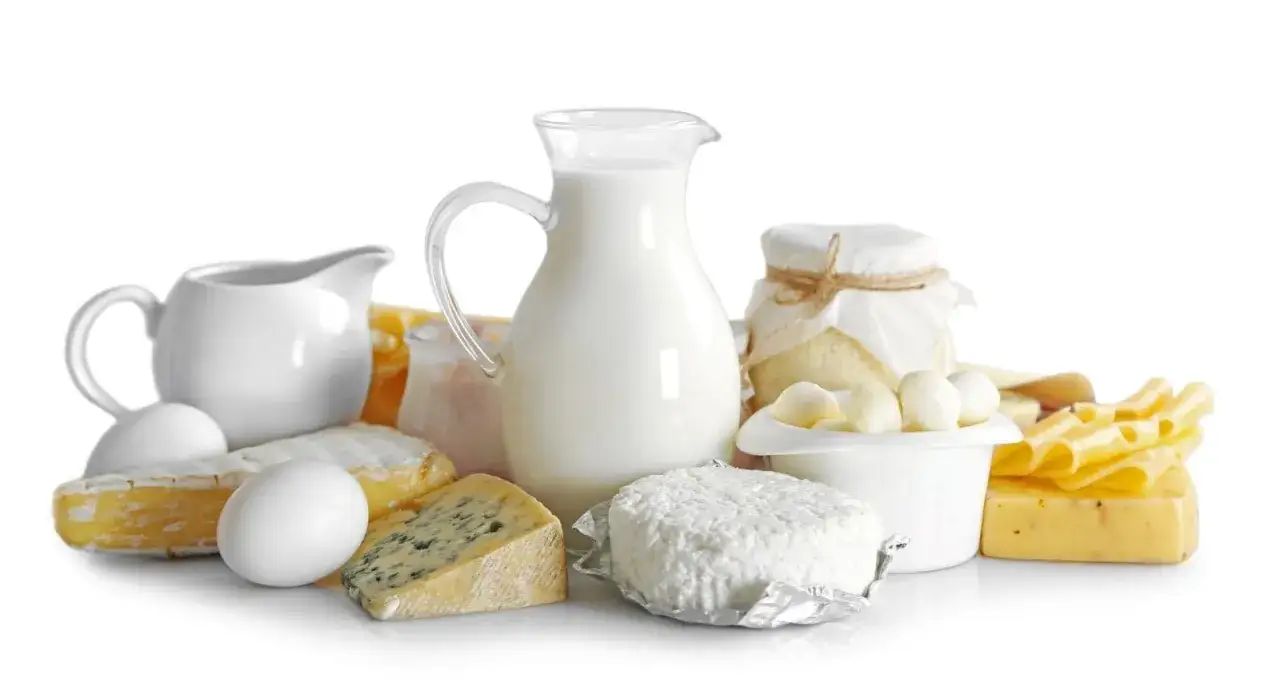 Latte, formaggi, yogurt e uova: ecco dove si trovano le proteine del latte per una dieta equilibrata.