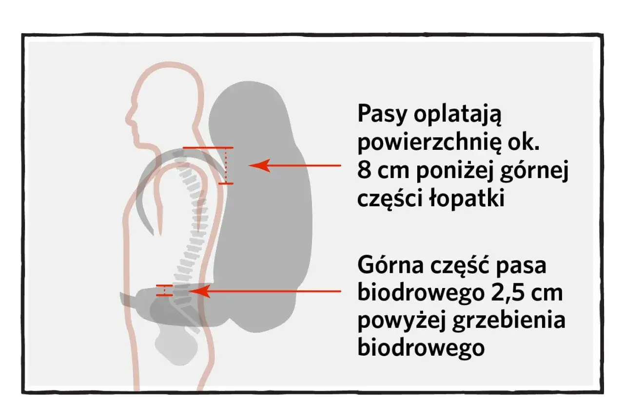 Ilustracja pokazuje, jak dobrać plecak do wzrostu: pasy naramienne powinny kończyć się 8 cm poniżej łopatki, a pas biodrowy 2,5 cm powyżej grzebienia biodrowego.