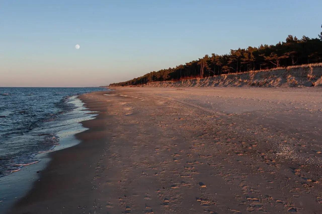 Spokojna jesień nad morzem. Księżyc w pełni wpatruje się w piaszczystą plażę i sosnowy las.