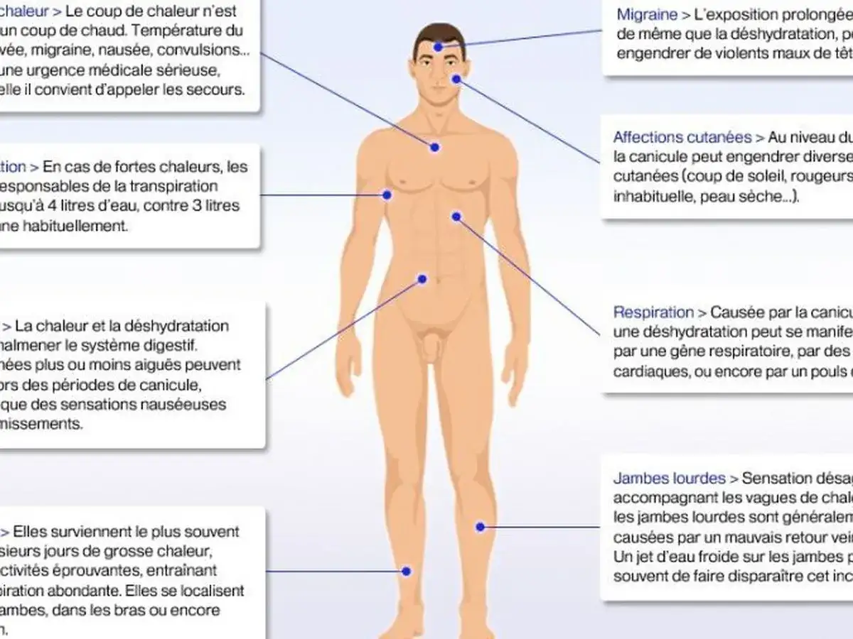 La chaleur et la déshydratation peuvent causer des maux de tête, des troubles digestifs et des affections cutanées. Quelle maladie provoque des bouffées de chaleur ? La canicule.