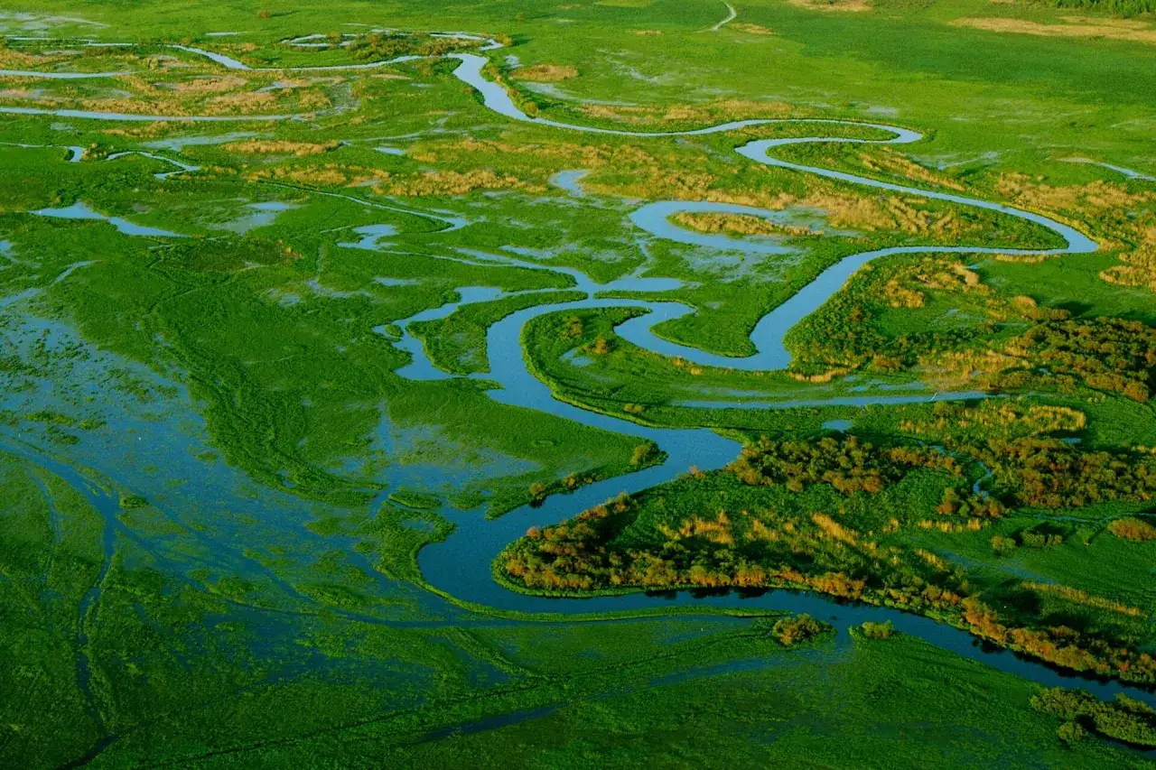 Meandrujące rzeki i bujna zieleń tworzą magiczne miejsca na Podlasiu.
