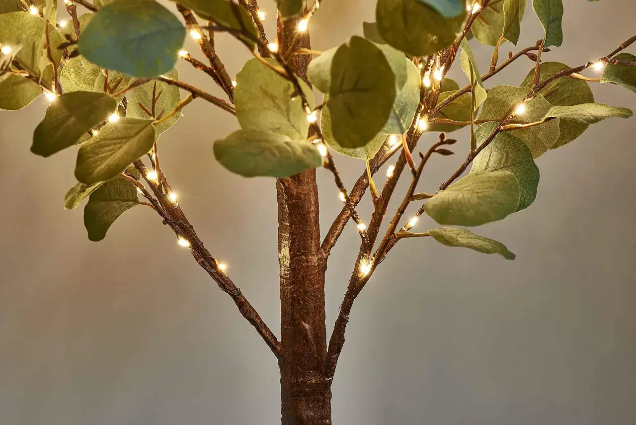 Un arbre d'eucalyptus intérieur illuminé de petites lumières chaudes, apportant une ambiance féerique.