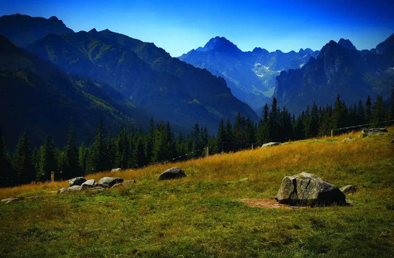 Malowniczy widok na Tatry, idealny na wiktorówki trasę. Góry, las i łąka tworzą zapierający dech w piersiach krajobraz.